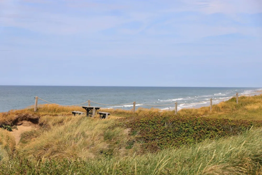 Smukt dansk kystlandskab ved Fyn nær Odense