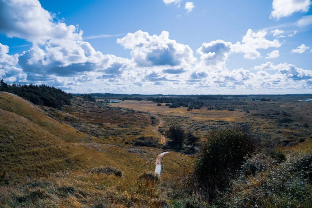 Smukt dansk naturlandskab på Sjælland med marker og blå himmel